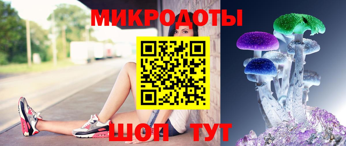 Псилоцибиновые грибы прущие грибы Кандалакша