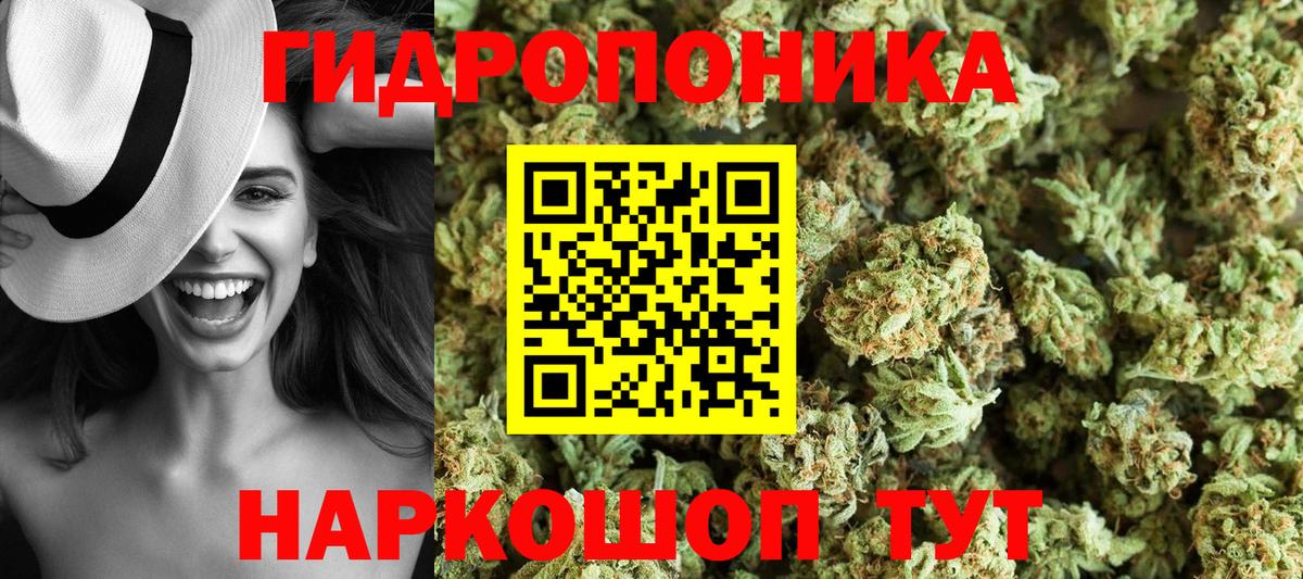 МАРИХУАНА сатива Кандалакша